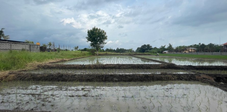Land in Tabanan, Bali (11979)