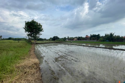 Land in Tabanan, Bali (11979) 2