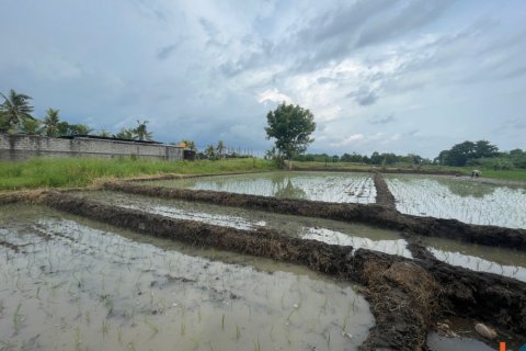 Land in Tabanan, Bali (11979) 3