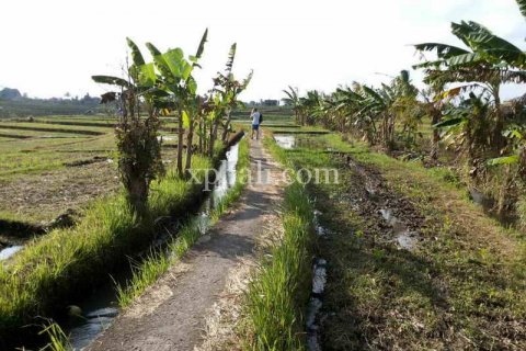 Tanah kavling 1840m2 di Mengwi, Badung, Bali (915) 4