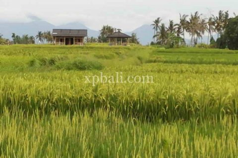 Tanah kavling 1840m2 di Mengwi, Badung, Bali (915) 3