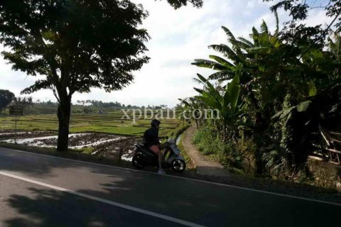 Tanah kavling 1840m2 di Mengwi, Badung, Bali (915) 6