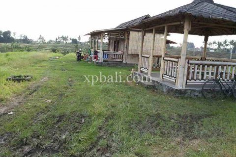 Tanah kavling 1840m2 di Mengwi, Badung, Bali (915) 7