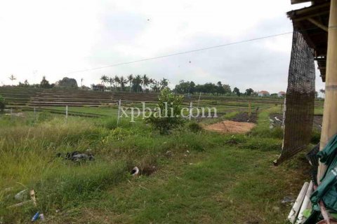 Tanah kavling 1840m2 di Mengwi, Badung, Bali (915) 8