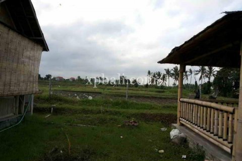 Tanah kavling 1840m2 di Mengwi, Badung, Bali (915) 2
