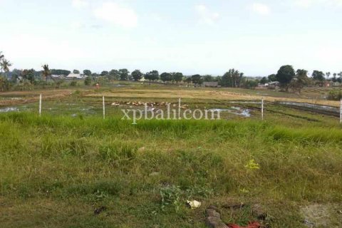 Tanah kavling 1840m2 di Mengwi, Badung, Bali (915) 5