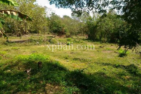 7900m2 Land in Tabanan, Bali (914) 6