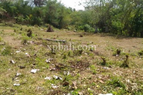 7900m2 Land in Tabanan, Bali (914) 8
