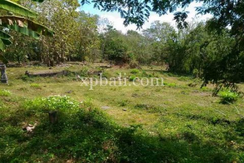 7900m2 Land in Tabanan, Bali (914) 7