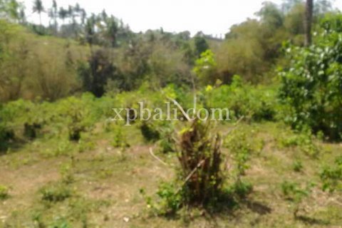 7900m2 Land in Tabanan, Bali (914) 3