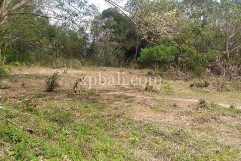 7900m2 Land in Tabanan, Bali (914) 5