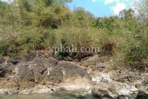 7900m2 Land in Tabanan, Bali (914) 4
