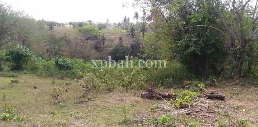 7900m2 Land in Tabanan, Bali (914)
