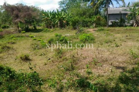 7900m2 Land in Tabanan, Bali (914) 2