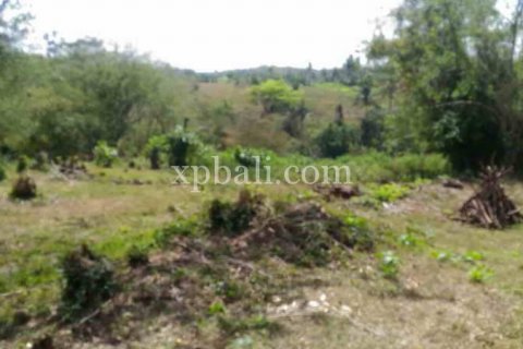 7900m2 Land in Tabanan, Bali (914) 9