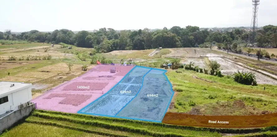 Land in Tumbak Bayuh, Mengwi, Badung, Bali (11404)