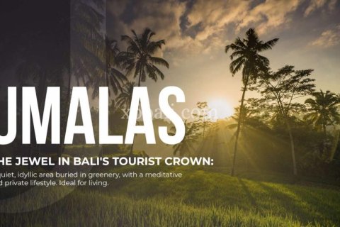 1 bedroom Apartment in Tampaksiring, Gianyar, Bali (5913) 20