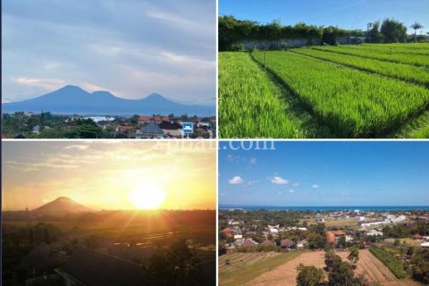 1 bedroom Apartment in Tampaksiring, Gianyar, Bali (5913) 10