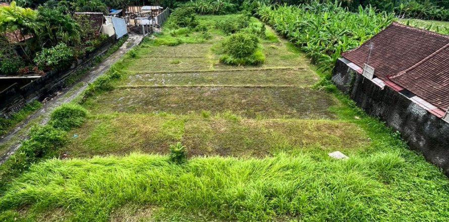 Land in Pererenan, Mengwi, Badung, Bali (11822)