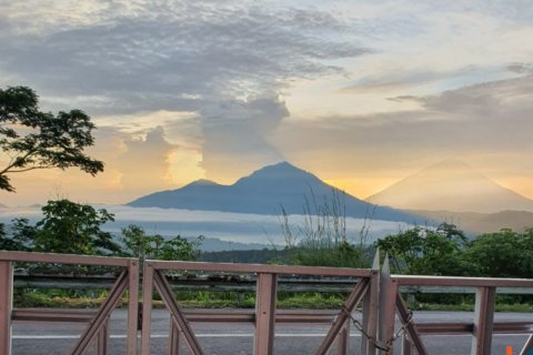 Land in Ubud, Gianyar, Bali (12274) 4