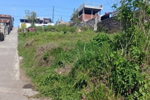 Land in Ubud, Gianyar, Bali (12274)