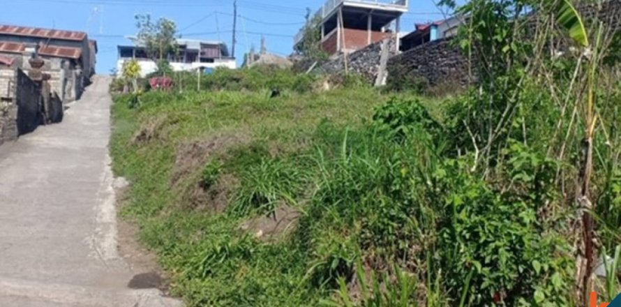 Land in Ubud, Gianyar, Bali (12274)