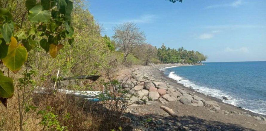 Land in Singaraja, Buleleng, Bali (12276)