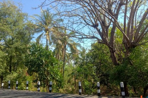 Land in Singaraja, Buleleng, Bali (12276) 10