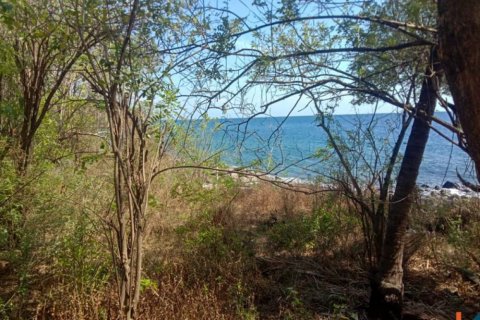 Land in Singaraja, Buleleng, Bali (12276) 4