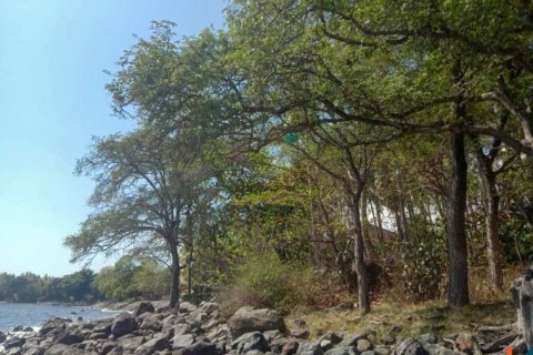 Land in Singaraja, Buleleng, Bali (12276) 3