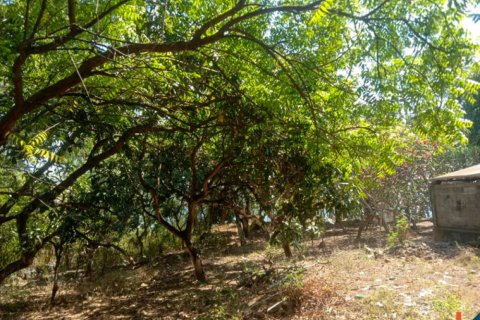 Land in Singaraja, Buleleng, Bali (12276) 7
