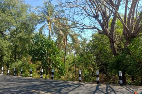 Land in Singaraja, Buleleng, Bali (12276) 9
