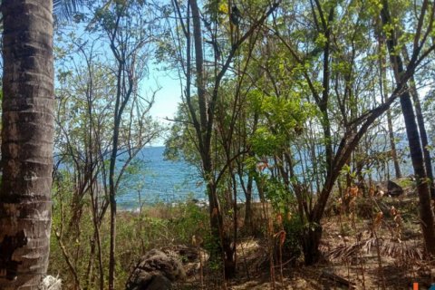 Land in Singaraja, Buleleng, Bali (12276) 6