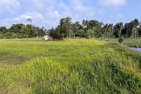 Land in Cemagi, Mengwi, Badung, Bali (10880) 5