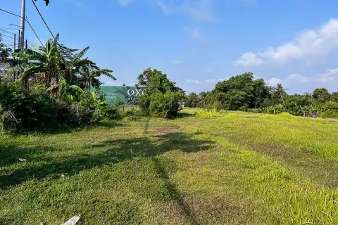 Land in Cemagi, Mengwi, Badung, Bali (10880) 4