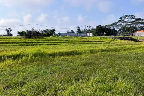 Land in Cemagi, Mengwi, Badung, Bali (10880) 6