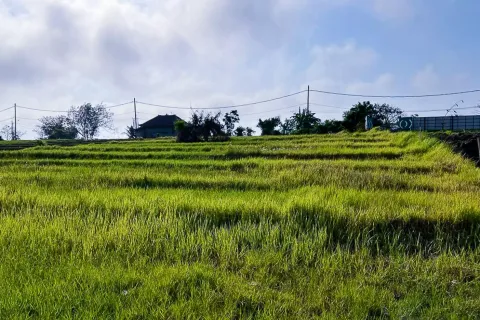 Land in Cemagi, Mengwi, Badung, Bali (10880) 3