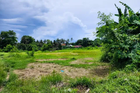 Land in Cemagi, Mengwi, Badung, Bali (10880) 9