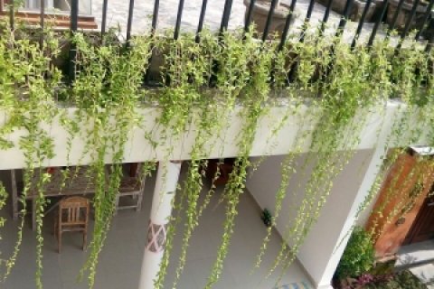 2 bedrooms Villa in Canggu, Badung, Bali (2283) 4