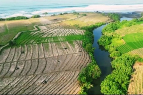Tanah kavling 2650m2 di Tabanan, Bali (12053)