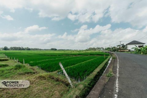 Vila 3 kamar tidur di Tabanan, Bali (9242) 30