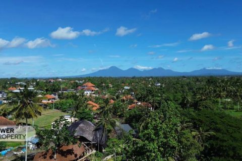 4 bedrooms Villa in Ubud, Gianyar, Bali (9240) 17