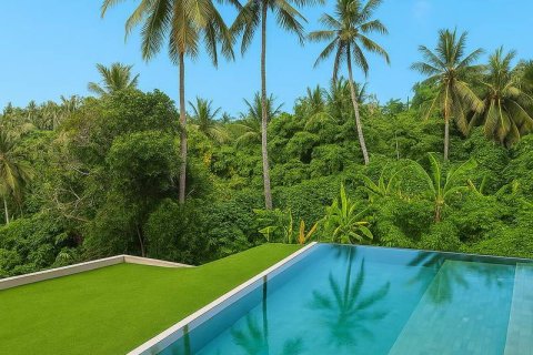 4 bedrooms Villa in Ubud, Gianyar, Bali (9240) 6