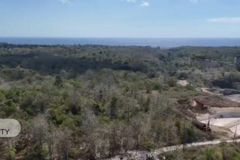 10000m2 Land in Jimbaran, Badung, Bali (8195) 4