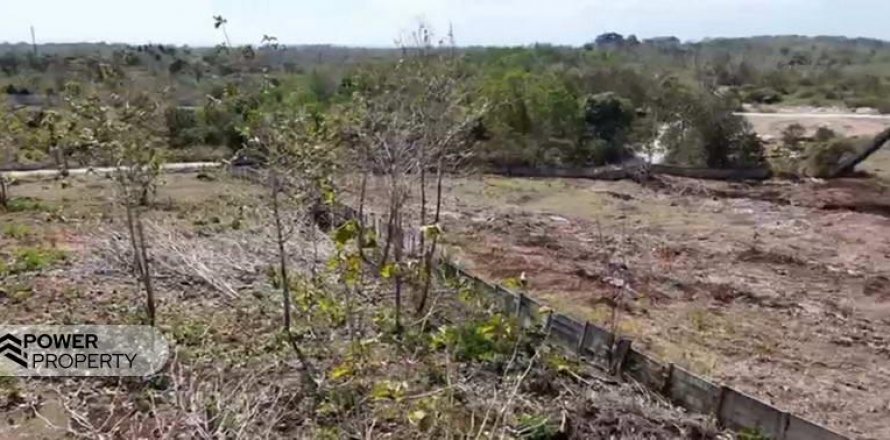 10000m2 Land in Jimbaran, Badung, Bali (8195)