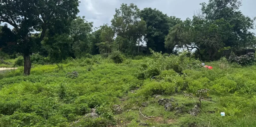 Land in Kuta, Badung, Bali (11558)