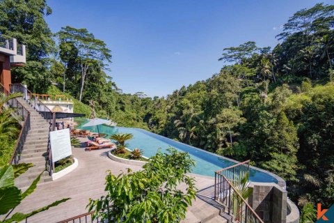 1 bedroom Villa in Ubud, Gianyar, Bali (11717) 9