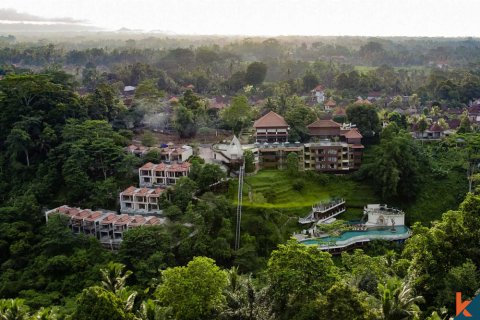 2 bedrooms Villa in Ubud, Gianyar, Bali (11718) 8