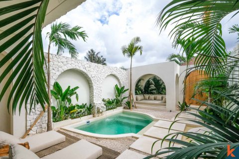 2 bedrooms Villa in Pererenan, Mengwi, Badung, Bali (11172) 4