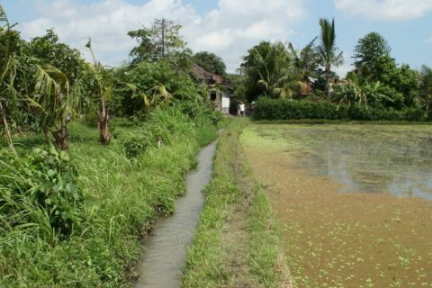 Tanah kavling di Tabanan, Bali (12303)